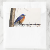Sticker Rectangulaire Photo de Bluebird de l'Est (Sac)
