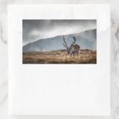 Sticker Rectangulaire Photo de la nature des rennes (Sac)