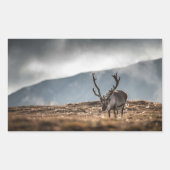 Sticker Rectangulaire Photo de la nature des rennes (Devant)