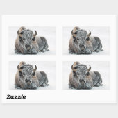 Sticker Rectangulaire Photo de Wildlife Buffalo Snow (Feuille)
