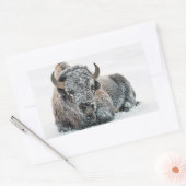 Sticker Rectangulaire Photo de Wildlife Buffalo Snow (Enveloppe)