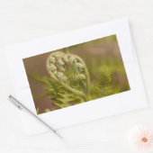 Sticker Rectangulaire Photo du coeur de Fern Fiddlehead (Enveloppe)