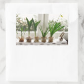 Sticker Rectangulaire Photo du jardin (Sac)