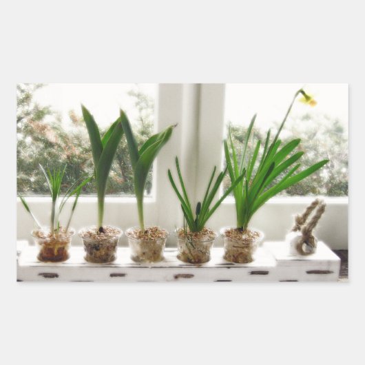 Sticker Rectangulaire Photo du jardin (Devant)