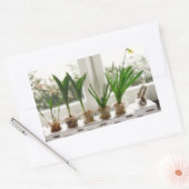 Sticker Rectangulaire Photo du jardin (Enveloppe)