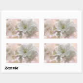 Sticker Rectangulaire Photo en fleurs de pomme blanche (Feuille)