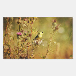 Sticker Rectangulaire Photo Goldfinch