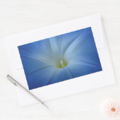 Sticker Rectangulaire Photo Gros plan du matin bleu paradisiaque (Enveloppe)