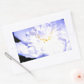 Sticker Rectangulaire Photo Peony blanc et violet (Enveloppe)