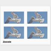 Sticker Rectangulaire Photo Seagull (Feuille)