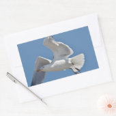 Sticker Rectangulaire Photo Seagull (Enveloppe)