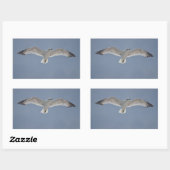 Sticker Rectangulaire Photo Seagull (Feuille)