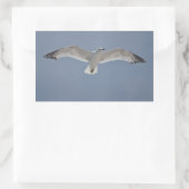 Sticker Rectangulaire Photo Seagull (Sac)