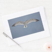 Sticker Rectangulaire Photo Seagull (Enveloppe)