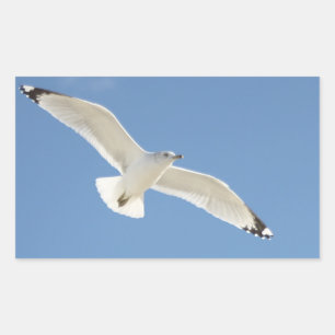 Sticker Rectangulaire Photo Seagull