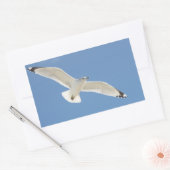 Sticker Rectangulaire Photo Seagull (Enveloppe)