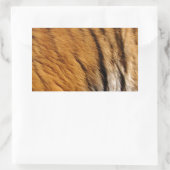 Sticker Rectangulaire Photo Tiger Stripes Big Cat Wildlife (Sac)