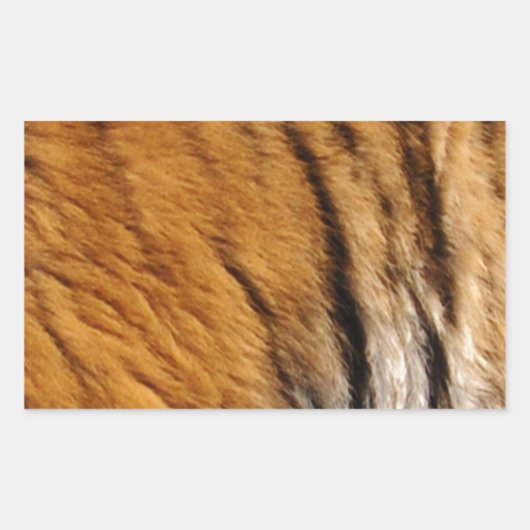 Sticker Rectangulaire Photo Tiger Stripes Big Cat Wildlife (Devant)
