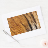 Sticker Rectangulaire Photo Tiger Stripes Big Cat Wildlife (Enveloppe)