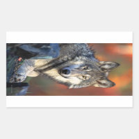 Photo Wolf