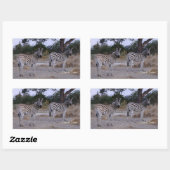 Sticker Rectangulaire Photo Zebra Double Take (Feuille)