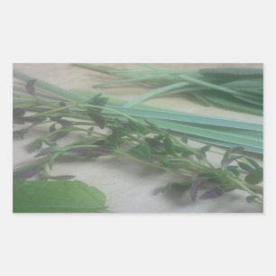 Sticker Rectangulaire Photographie antique d'herbes