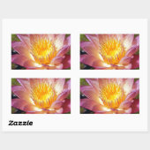 Sticker Rectangulaire Photos Pink Water Lily (Feuille)