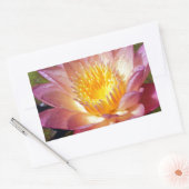 Sticker Rectangulaire Photos Pink Water Lily (Enveloppe)