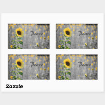 Phrase "Paix", Champ de tournesols, Noir & Blanc