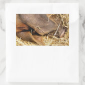 STICKER RECTANGULAIRE PIÈCES (Sac)