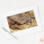 STICKER RECTANGULAIRE PIÈCES (Enveloppe)