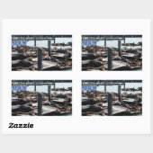 Sticker Rectangulaire Pier 39 Sea Lions (Feuille)