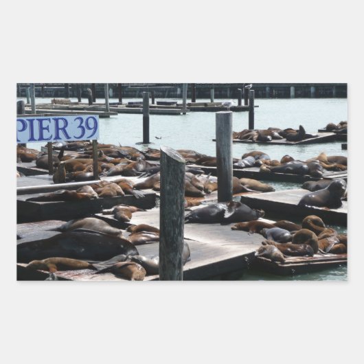 Sticker Rectangulaire Pier 39 Sea Lions (Devant)