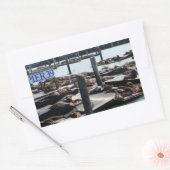 Sticker Rectangulaire Pier 39 Sea Lions (Enveloppe)