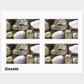 Sticker Rectangulaire Pierre de champ, rochers, pierre en détresse, pier (Feuille)