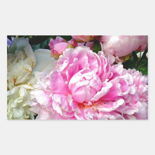 Sticker Rectangulaire Pies roses et blanches (Devant)