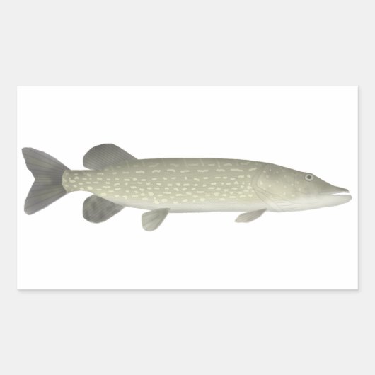 Sticker Rectangulaire Pike du Nord (Devant)