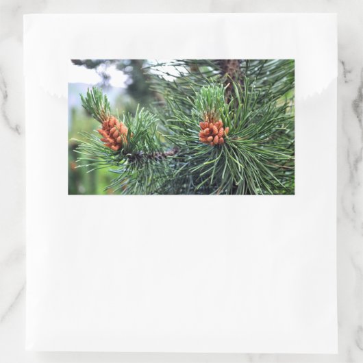 Sticker Rectangulaire Pin vert (Sac)