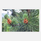 Sticker Rectangulaire Pin vert (Devant)