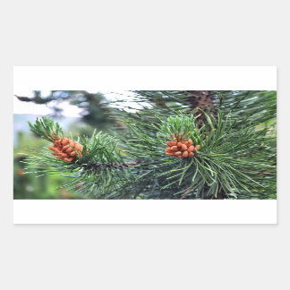 Sticker Rectangulaire Pin vert