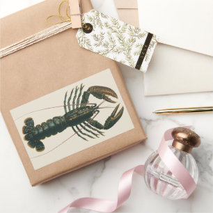 Sticker Rectangulaire Pinces de homard Vie marine océanique vintage Crus