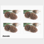 Sticker Rectangulaire Pine branch and cones (Feuille)