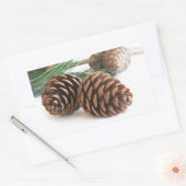 Sticker Rectangulaire Pine branch and cones (Enveloppe)