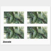Sticker Rectangulaire Pine de Vacances (Feuille)