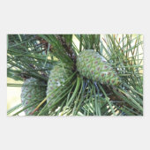 Sticker Rectangulaire Pine de Vacances (Devant)