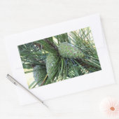 Sticker Rectangulaire Pine de Vacances (Enveloppe)