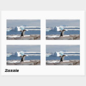 Sticker Rectangulaire Pingouin devant une arche de glace (Feuille)