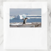 Sticker Rectangulaire Pingouin devant une arche de glace (Sac)