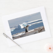 Sticker Rectangulaire Pingouin devant une arche de glace (Enveloppe)