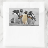 Sticker Rectangulaire Pingouins de Rockhopper (Sac)
